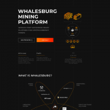 Whalesburg ICO